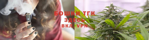 СК Балахна