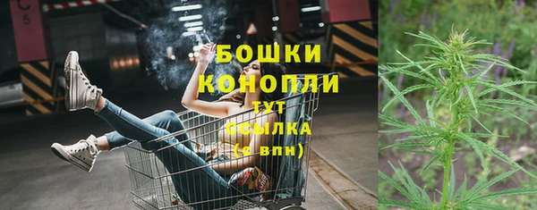 стафф Липки