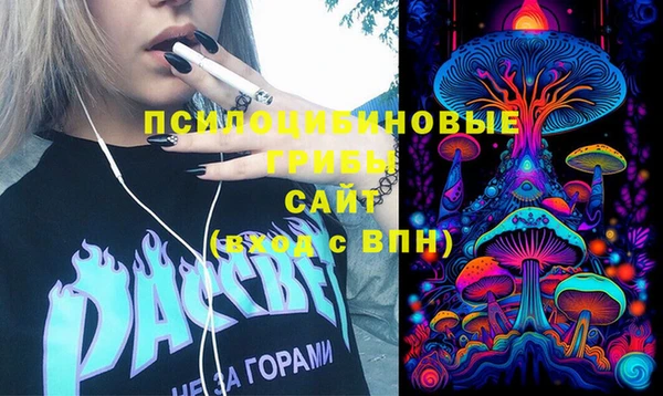 СК Балахна