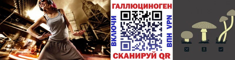 Галлюциногенные грибы Psilocybine cubensis  где найти   мега как войти  это клад  Серов 